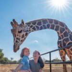 Family feeding giraffes at Artemis Ranch and Retreat Wildlife Adventure Lodge