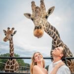 couples engagement shoot standing undeiraffes photobombing their romantic shot