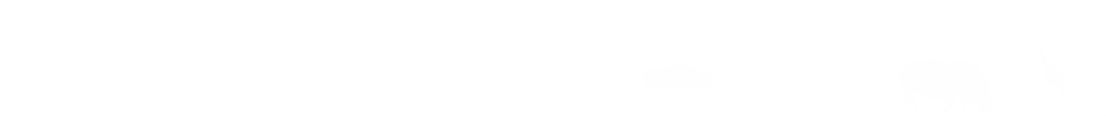 Artemis ranch and retreat wellness adventure